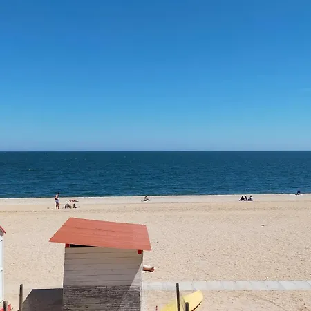 Bilocale Con Due Bagni Cod 496 Frontemare Con Inclusa * Marcelli