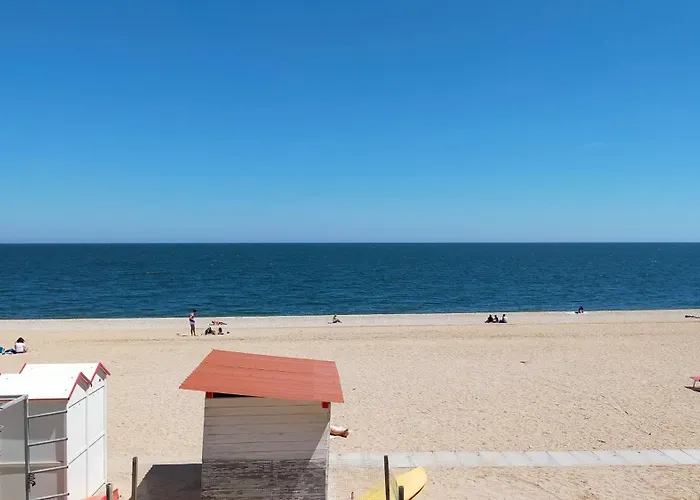 Bilocale Con Due Bagni Cod 496 Frontemare Con Inclusa * Marcelli